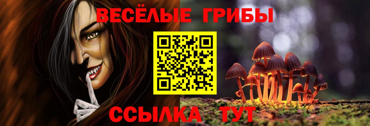 Галлюциногенные грибы MAGIC MUSHROOMS  Вход с VPN  Уфа 